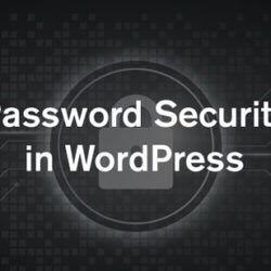 Password Security in WordPress